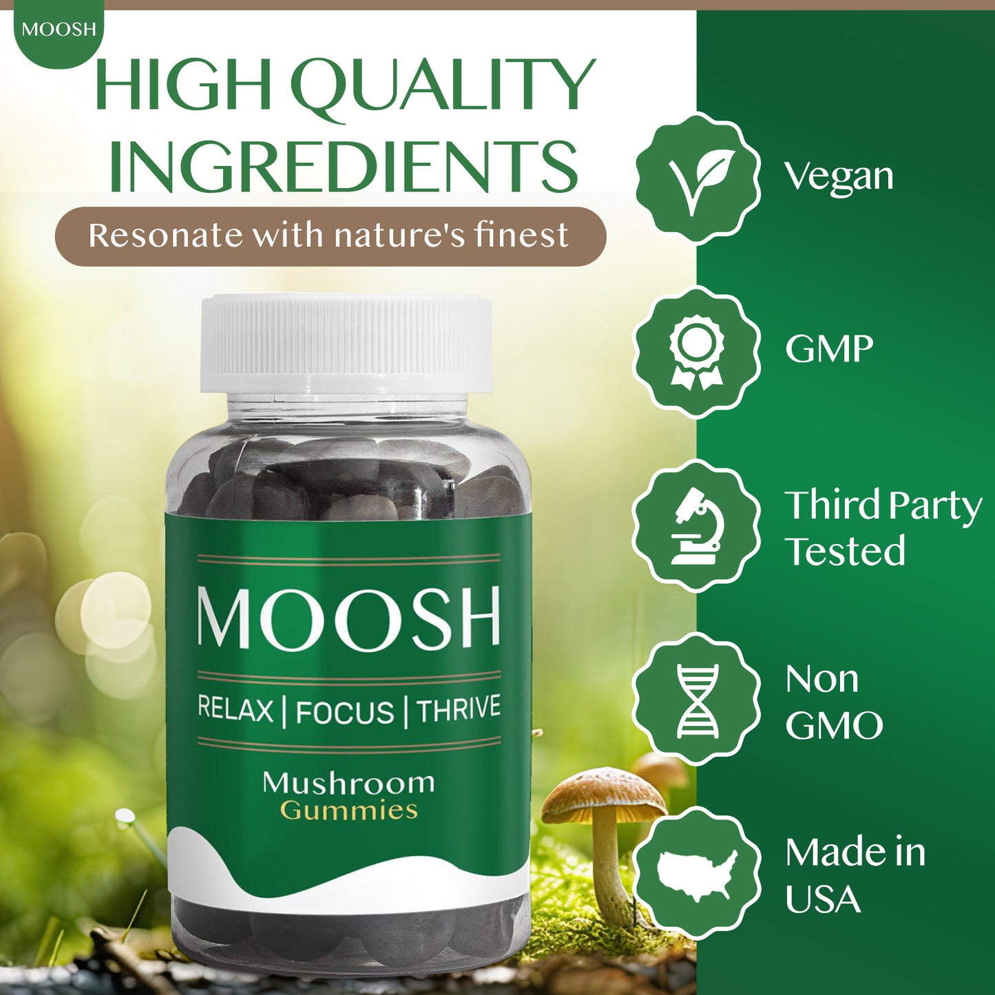 Mushroom Extract Complex